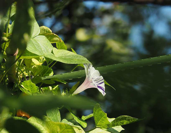 P9021245