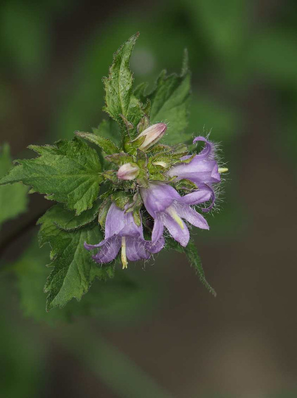 P9031262