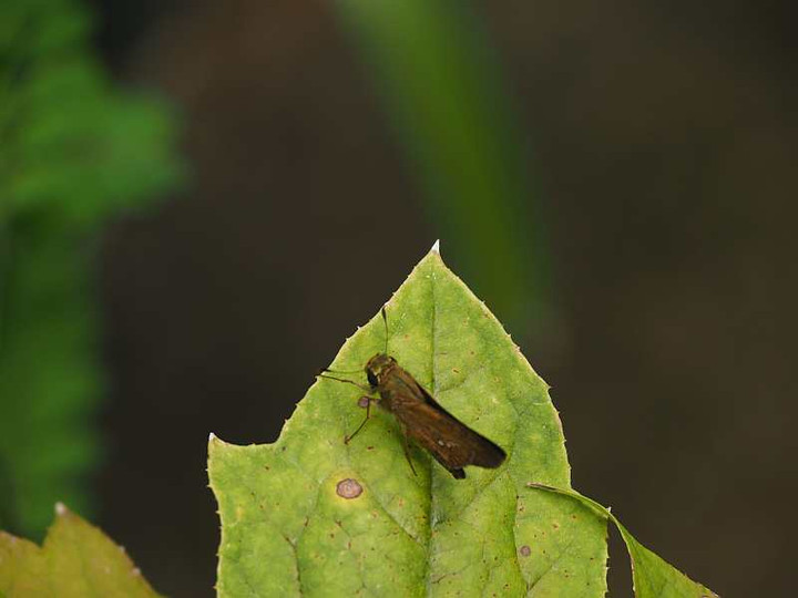 P9031266