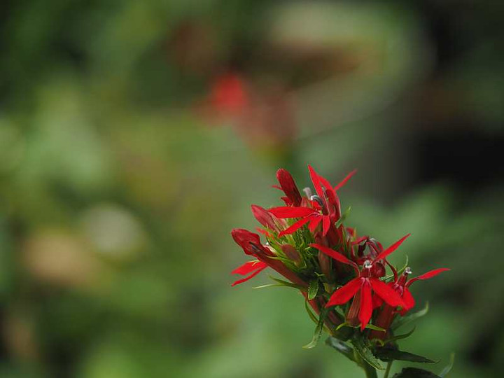 P9031277