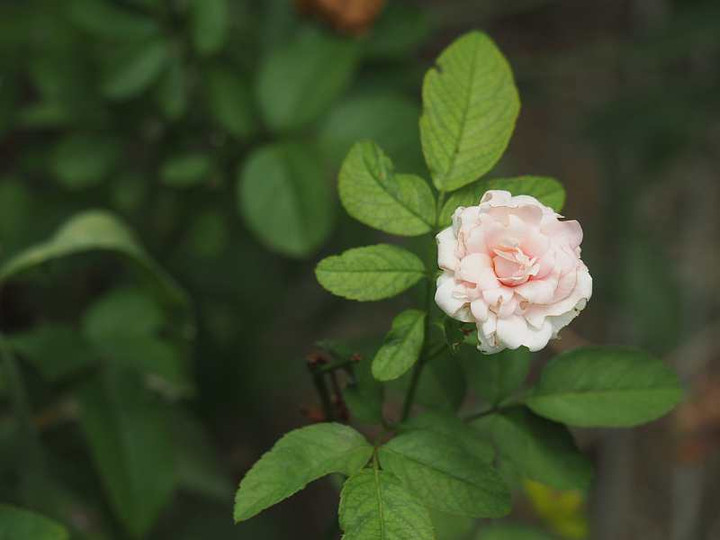 P9031282