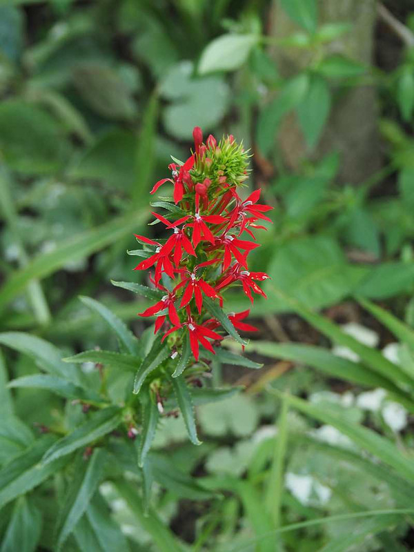 P9031295