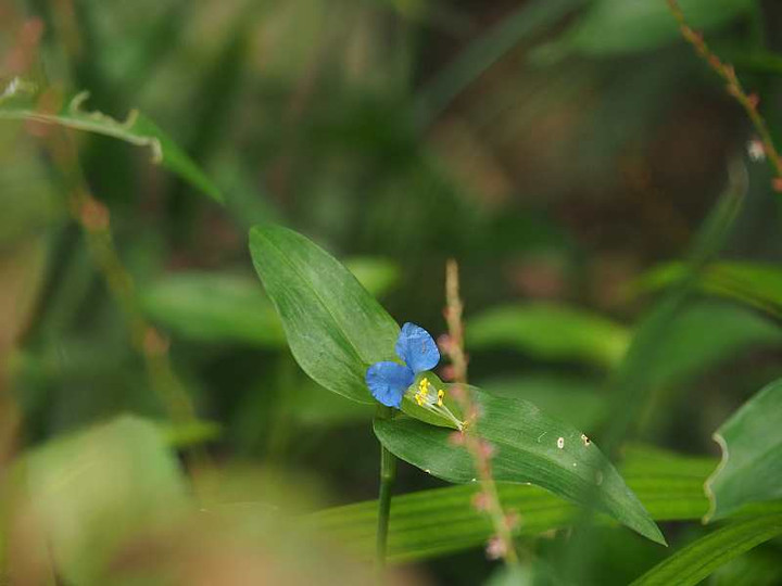 P9051317