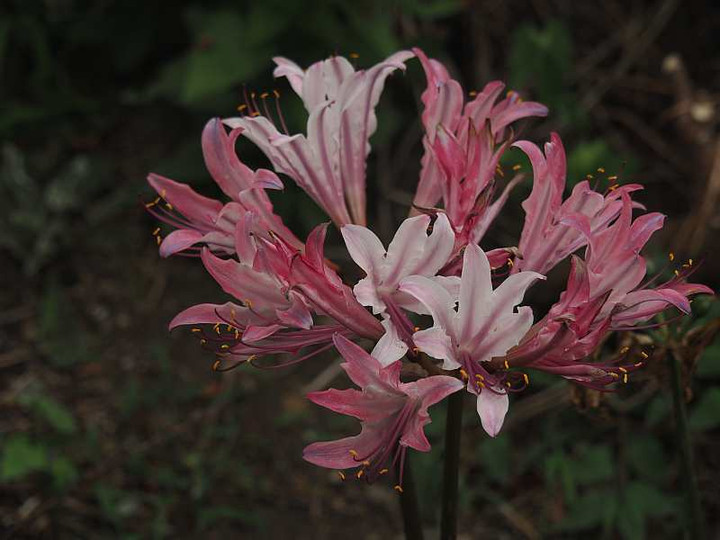 P9051318