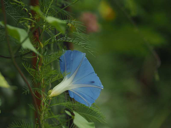 P9051320