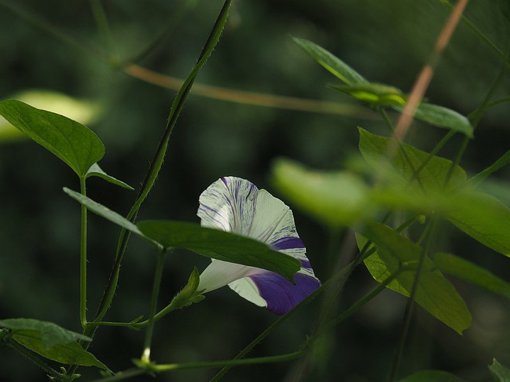 P9101813