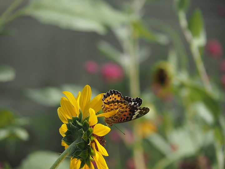 P9101828