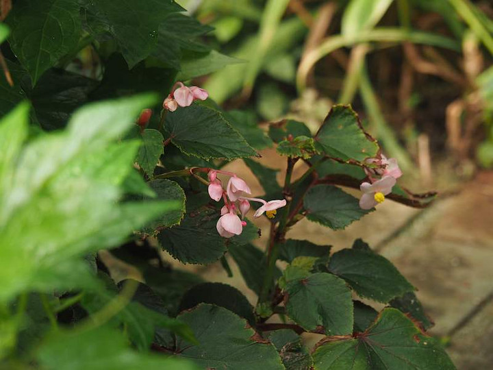 P9131940