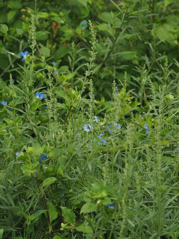 P9152503