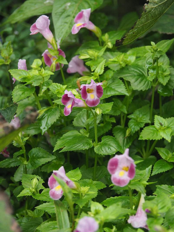 P9162525