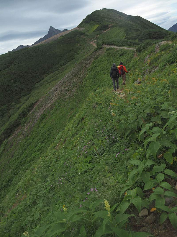 P8280839yariwomezasu