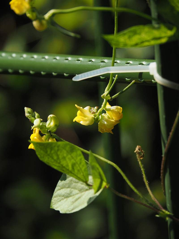 P9192636