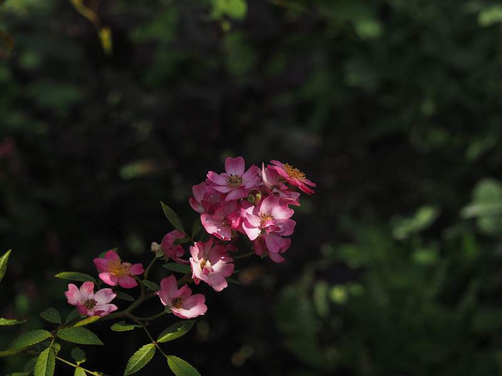 P9192640