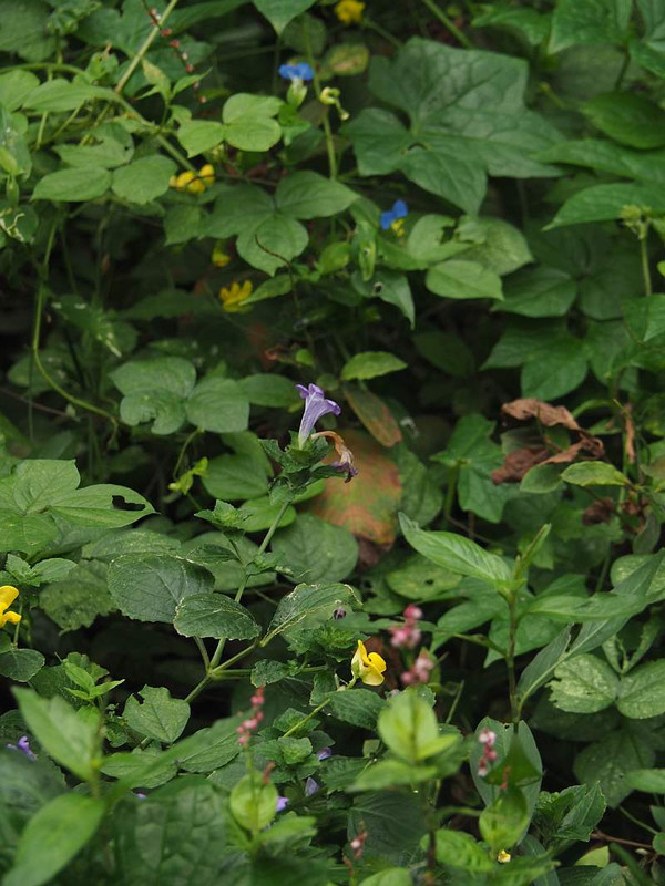 P9202654