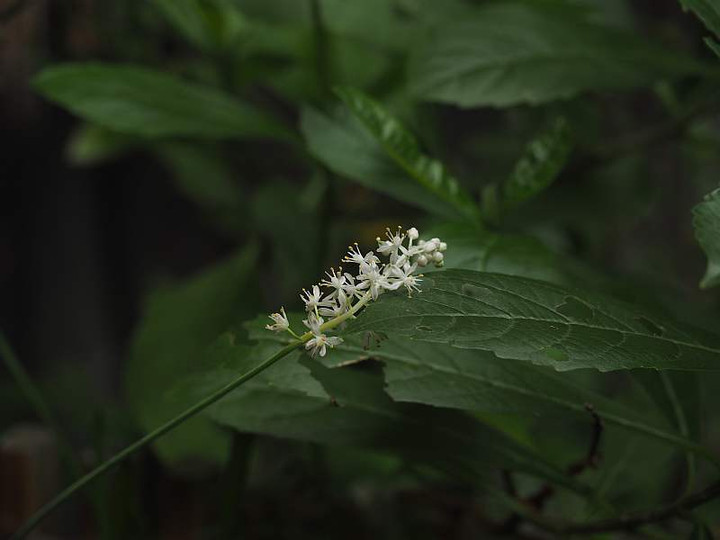 P9202661
