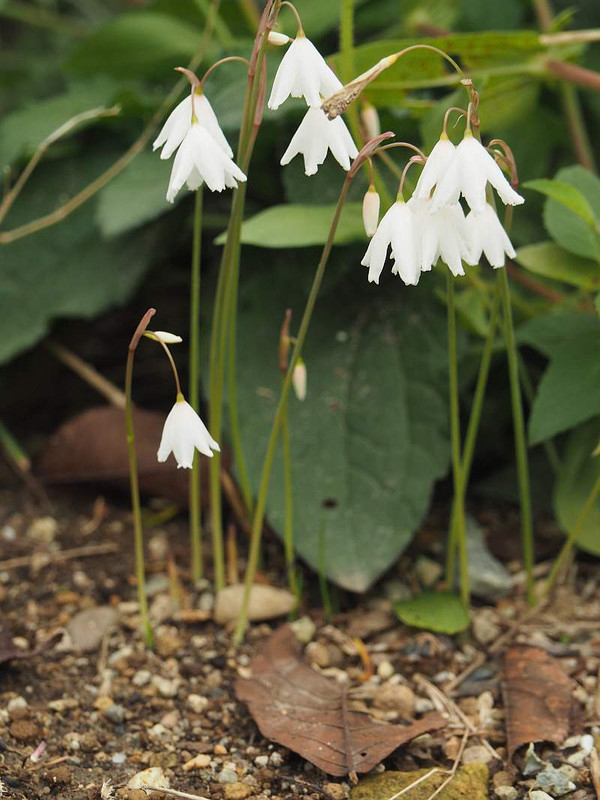 P9202690