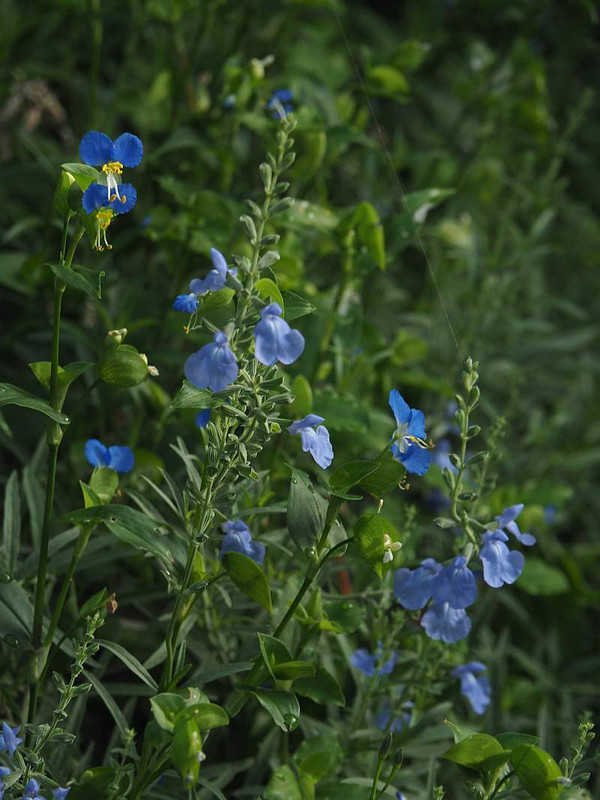 P9212721