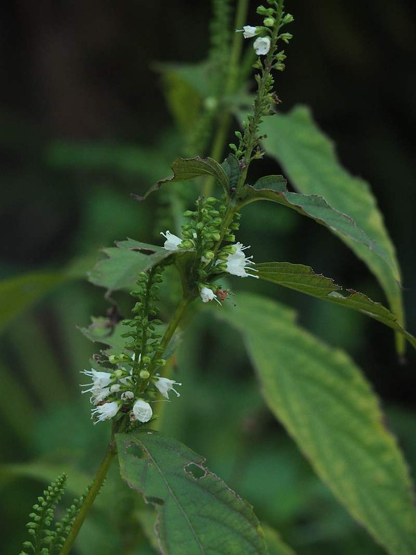 P9212734