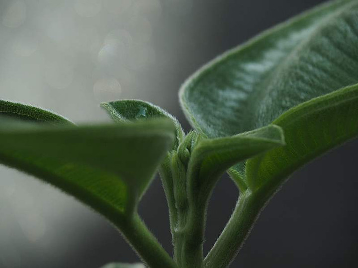 P9212735