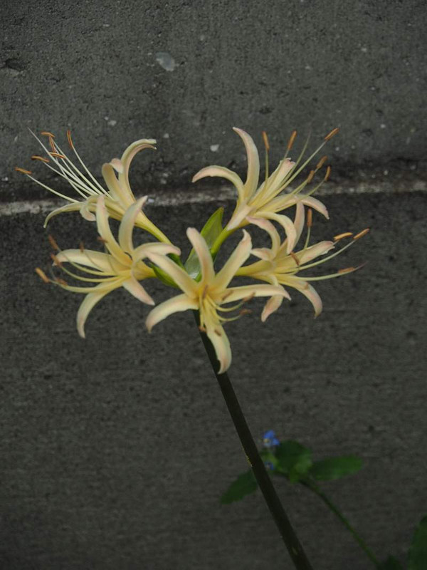 P9222756