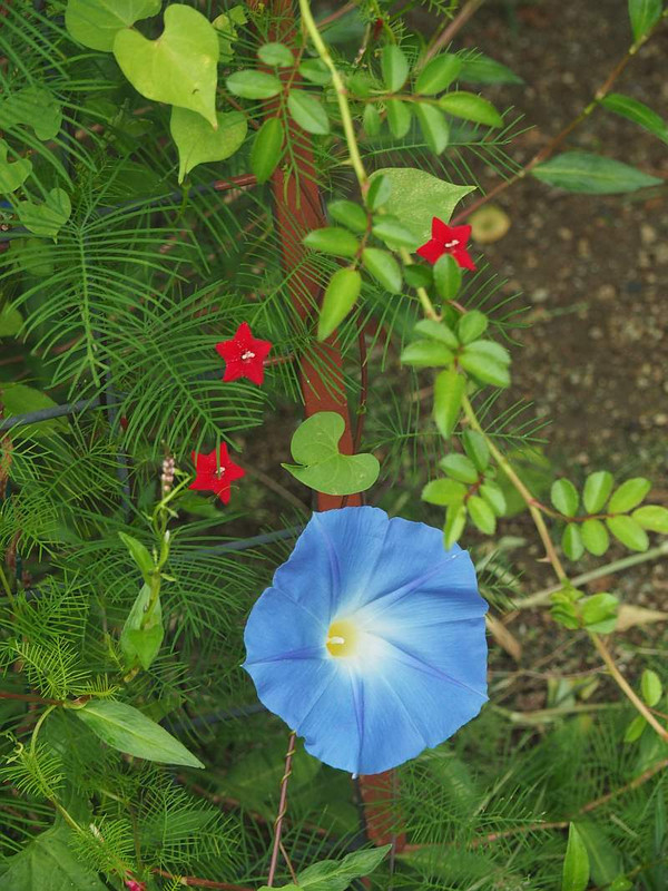 P9222758