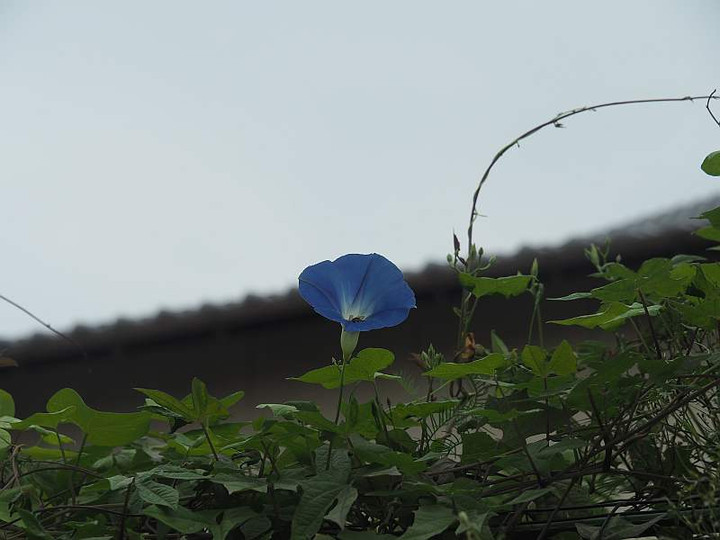 P9222760