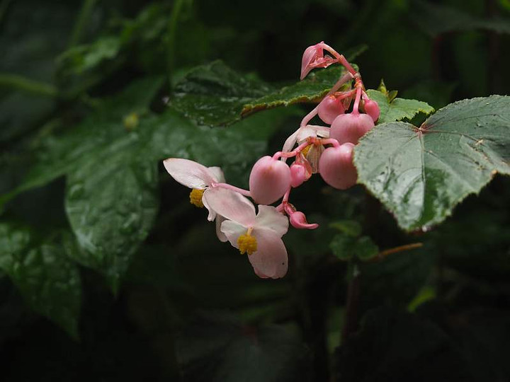 P9232777