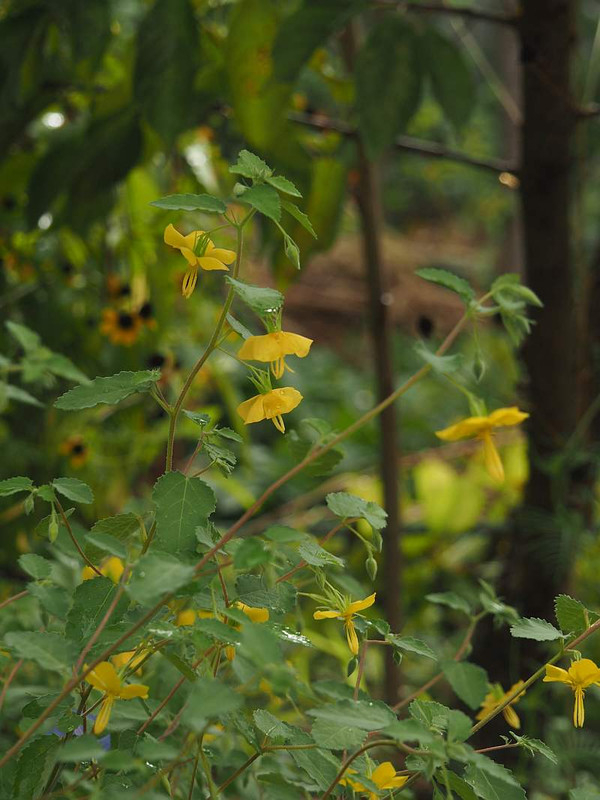 P9232792