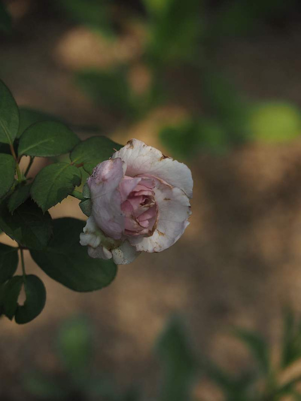 P9252958