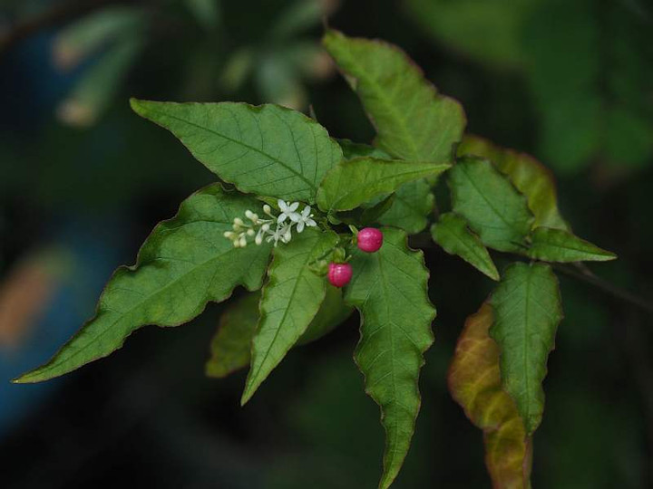 P9252973