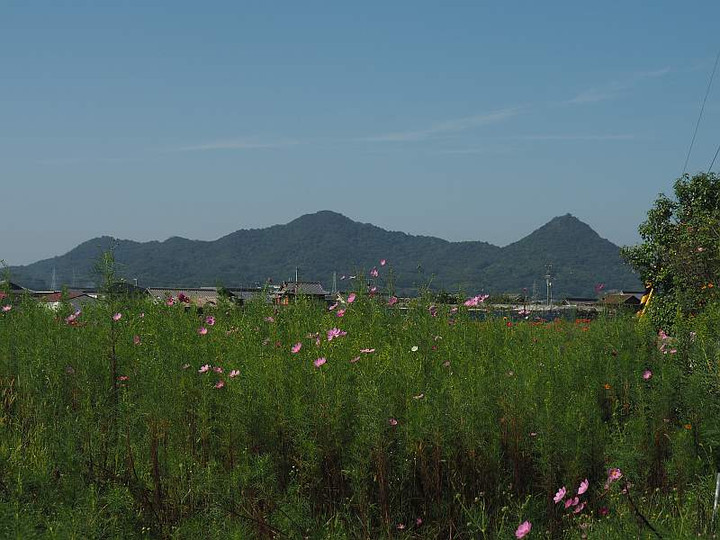 P9263009