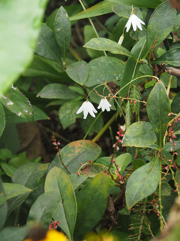 P9273018