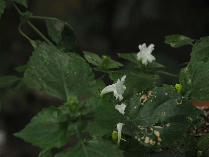 P9273037