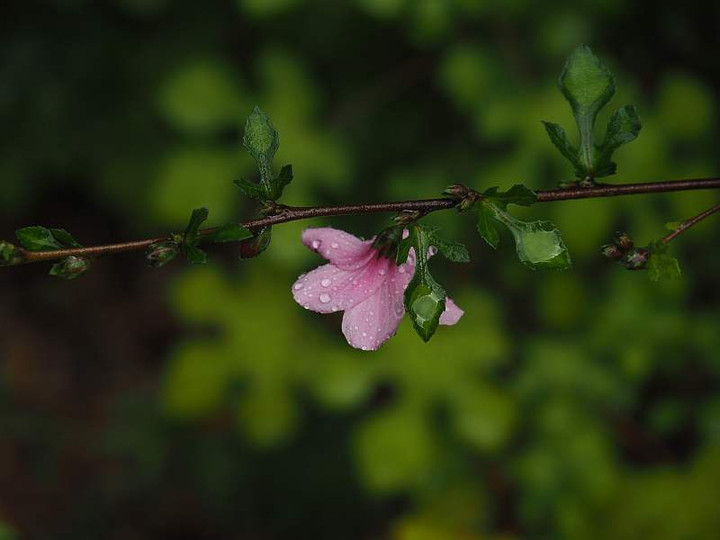 P9273038