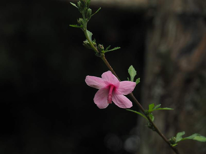 P9273041