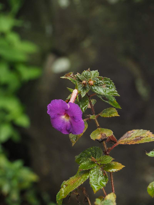 P9283048
