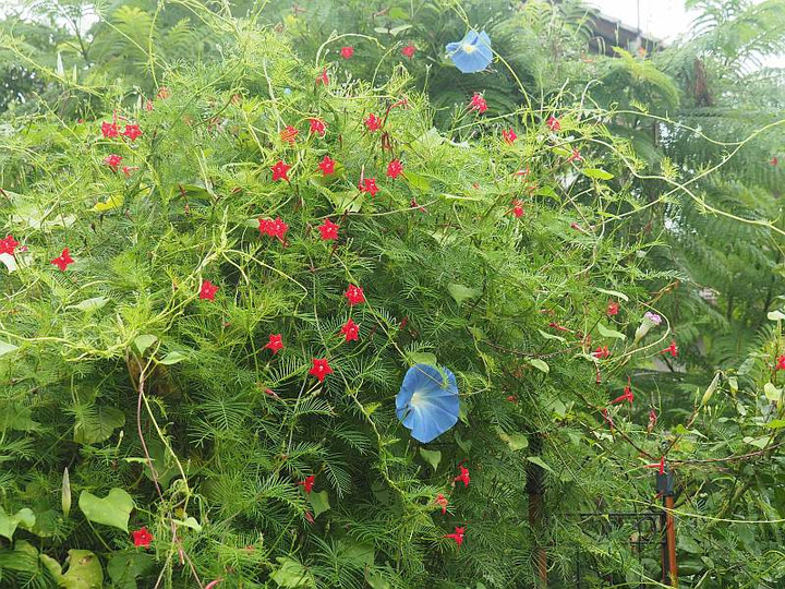 P9283055