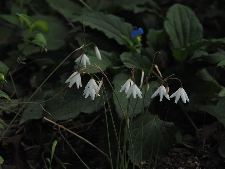 P9293070