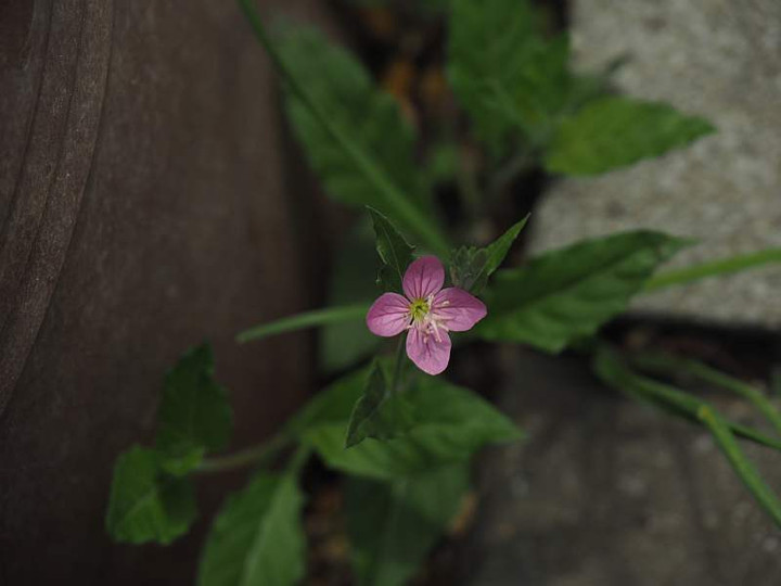 P9293074