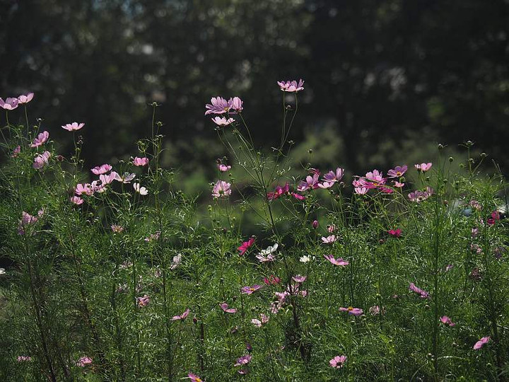 P9293080