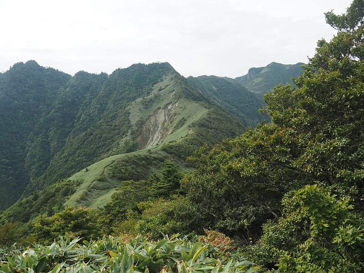 P9142067iyohujihoumen