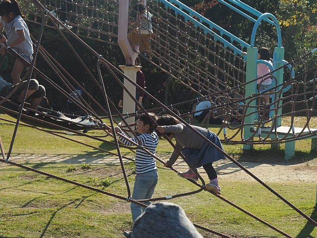 Pb033751