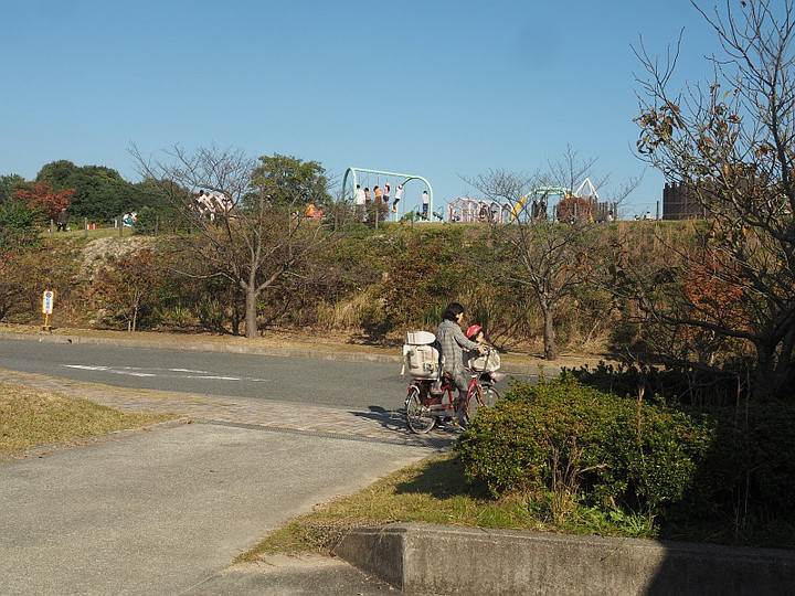Pb033776
