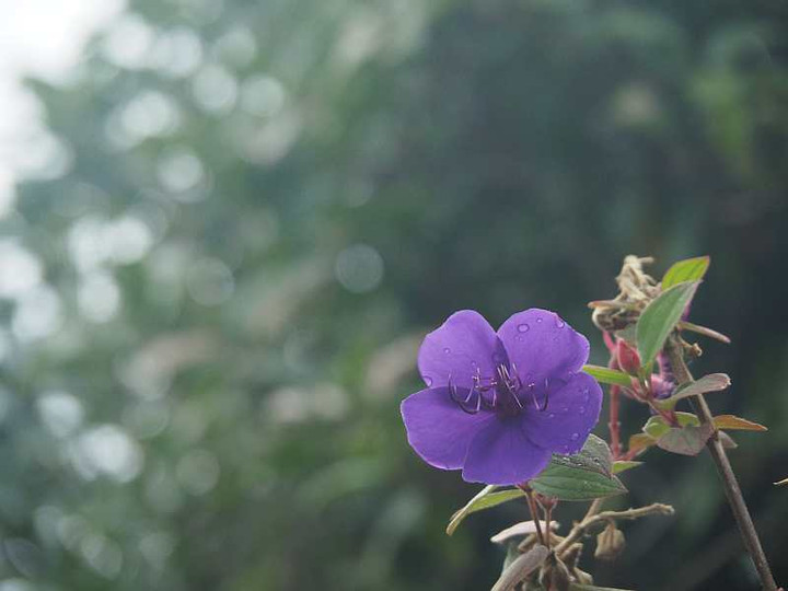 Pb084365