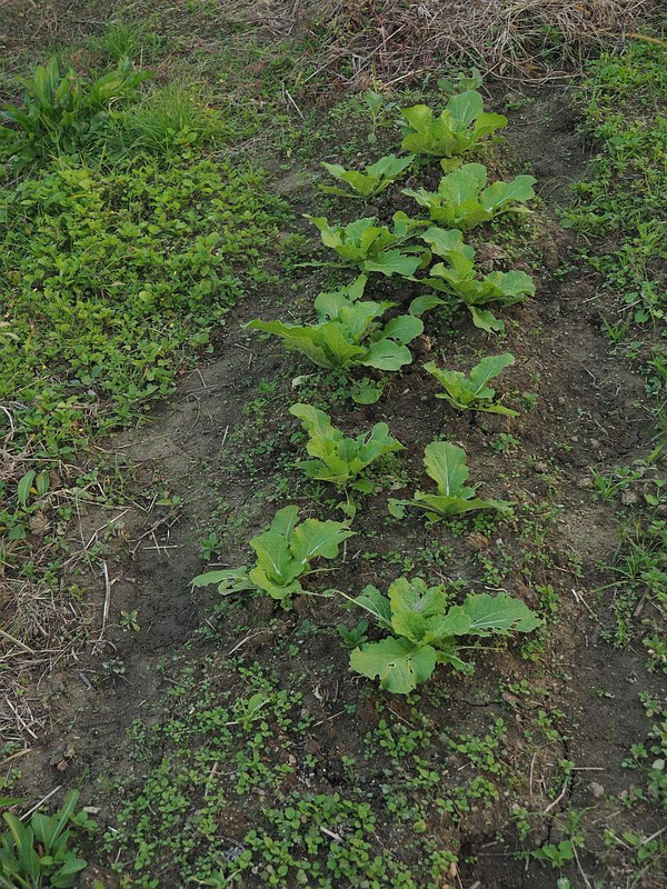 Pb094407