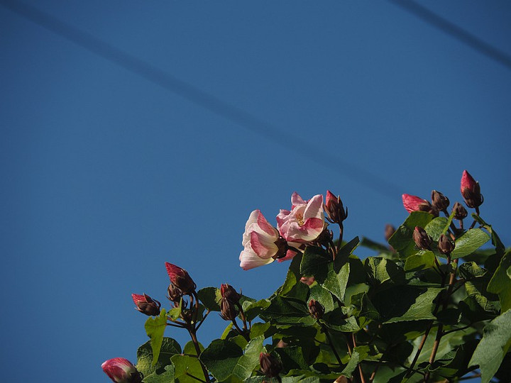 Pc015480