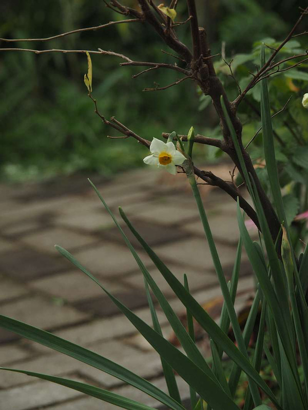 Pc045533