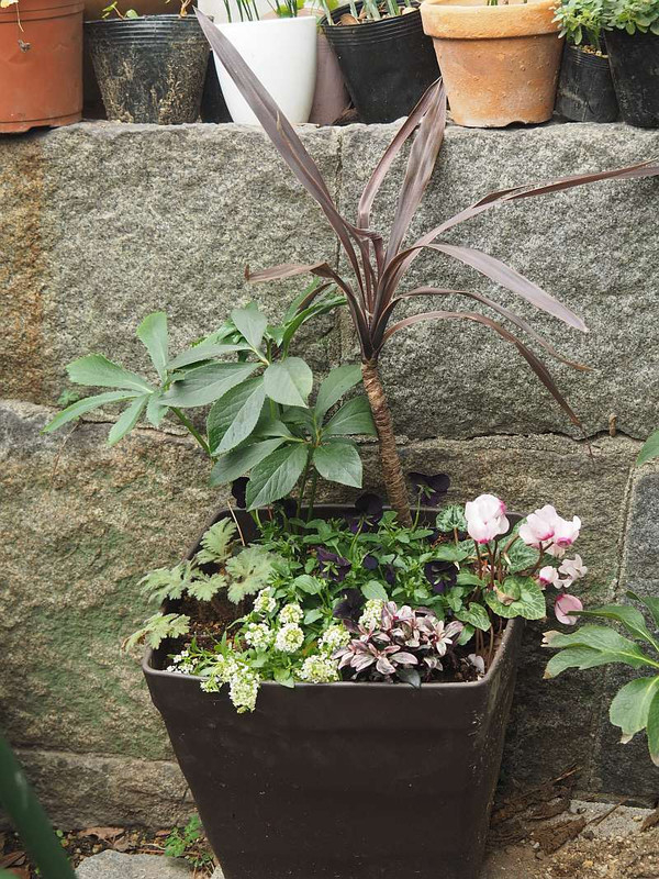 Pc045539