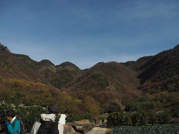 Pc105651
