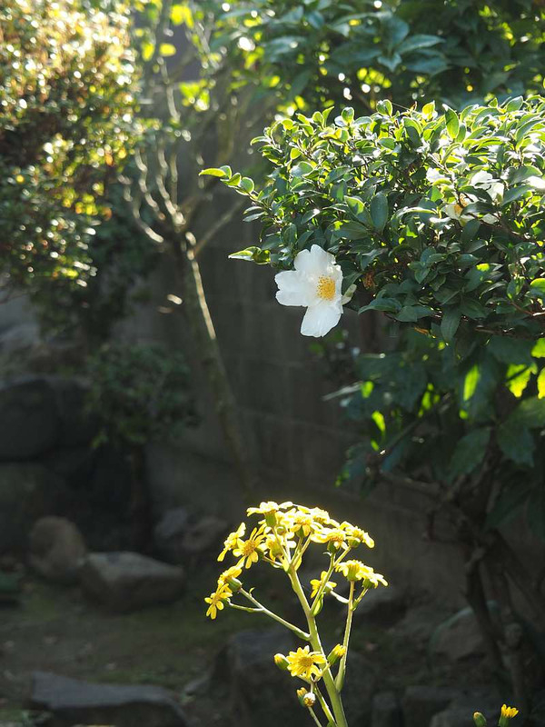 Pc155926